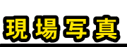 ʐ^
